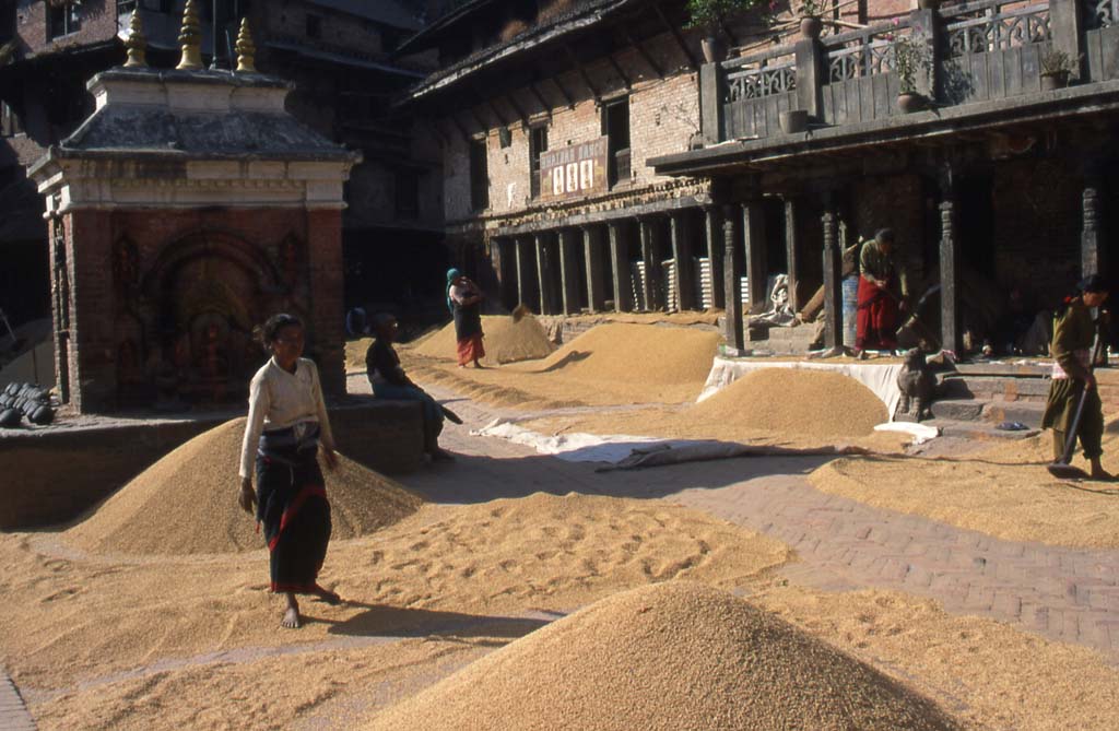 Quartier des potiers de Bakhtapur, le 29 octobre 1998