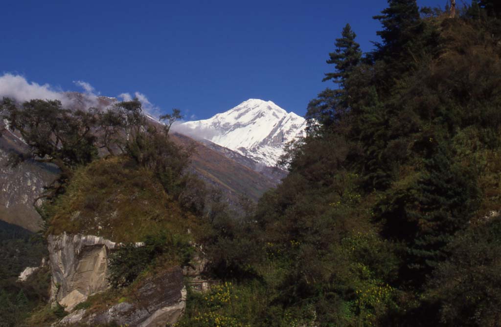 Le Dhaulagiri vu des environs de Lete, le 24 octobre 1998