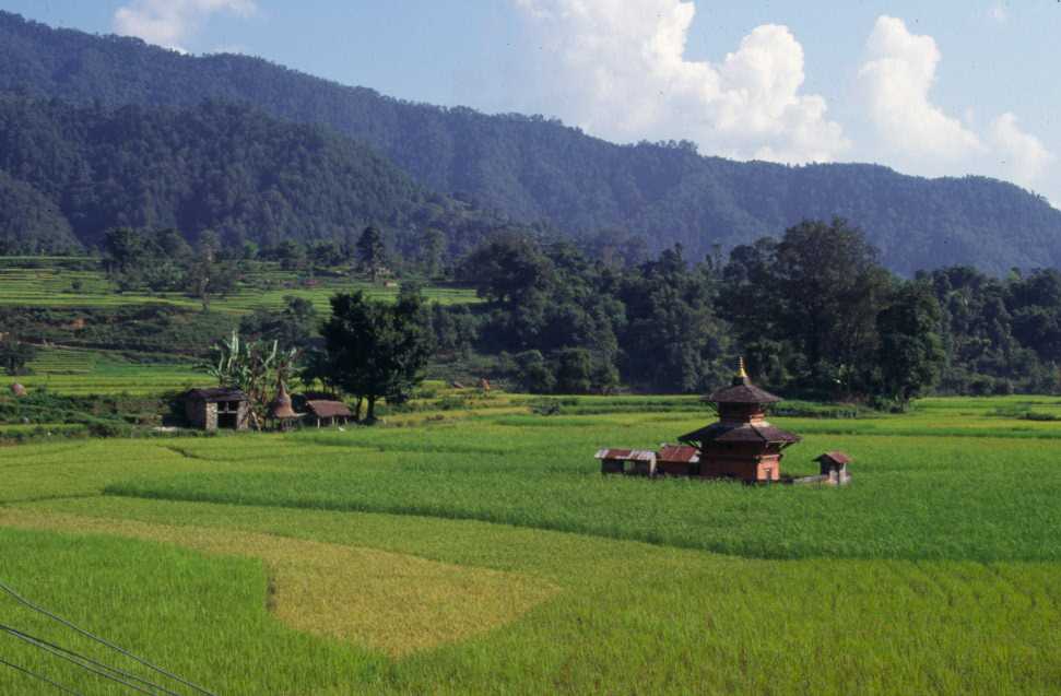 Paysage de rizières près de la Madi Khola, le 10 octobre 1998