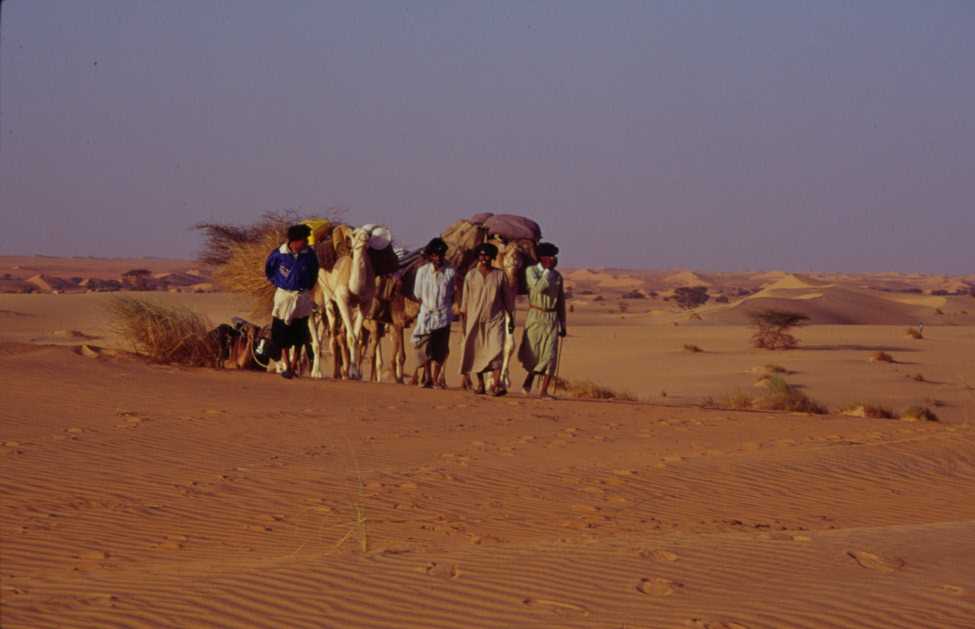 Arrivée au camp le soir du 18 mars 2000