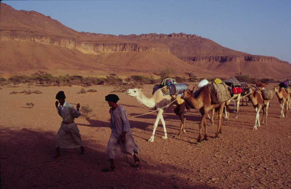 Progression dans le massif de l’Adrar, le 25 mars 2000