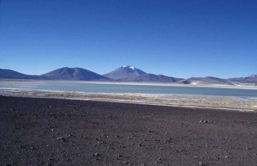 Le salar d’Ascotán, le 16 août 2000