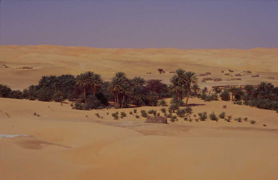 La palmeraie de Lagueïla dans l’erg Ouarane, le 21 mars 2000