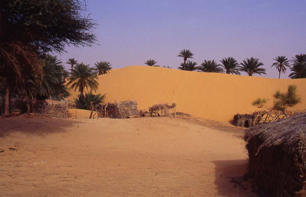 La palmeraie et le village de Tanouchert, le 13 mars 2000