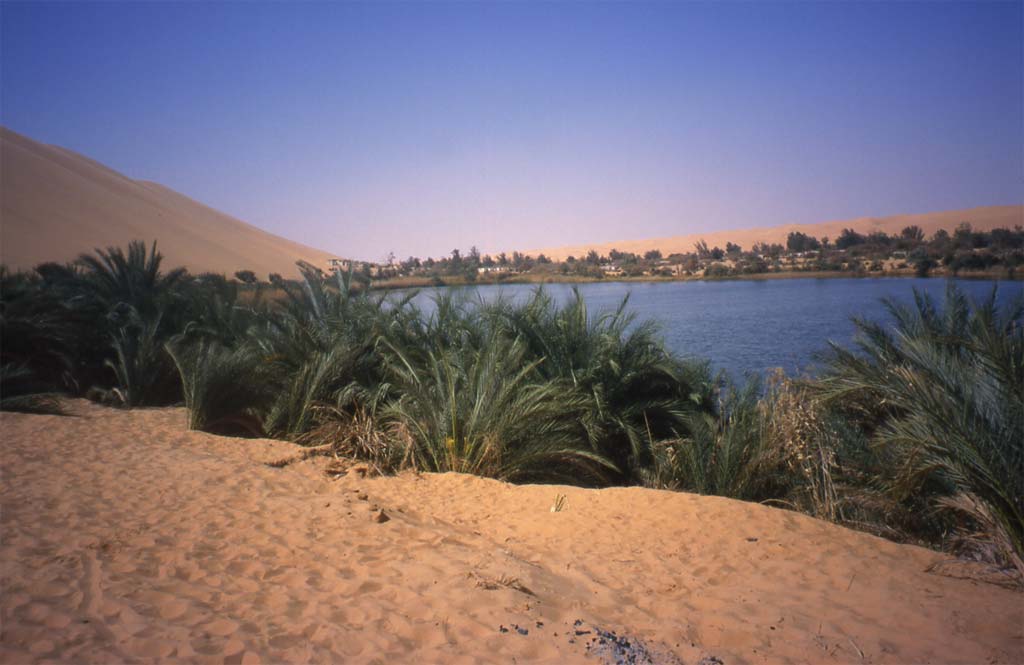 Le lac et l’oasis de Gabaraun (erg d’Ubari), le 22 février 2002