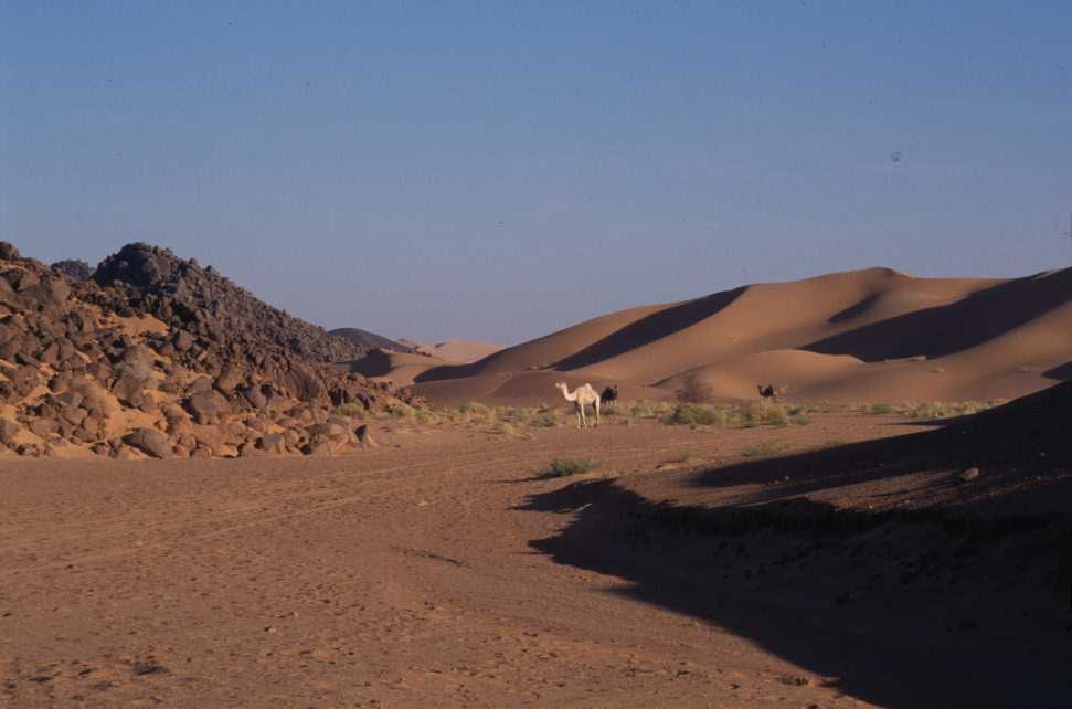 Lever de camp aux abords de l’adrar Chiriet, le 25 février 2004