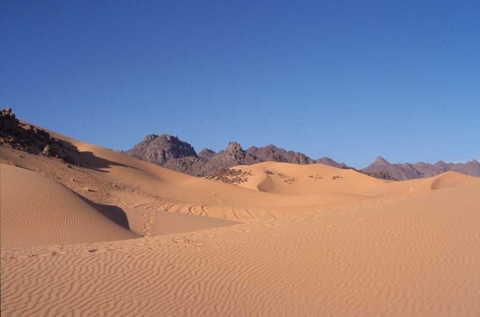 Entrée dans l’adrar Chiriet, le 25 février 2004