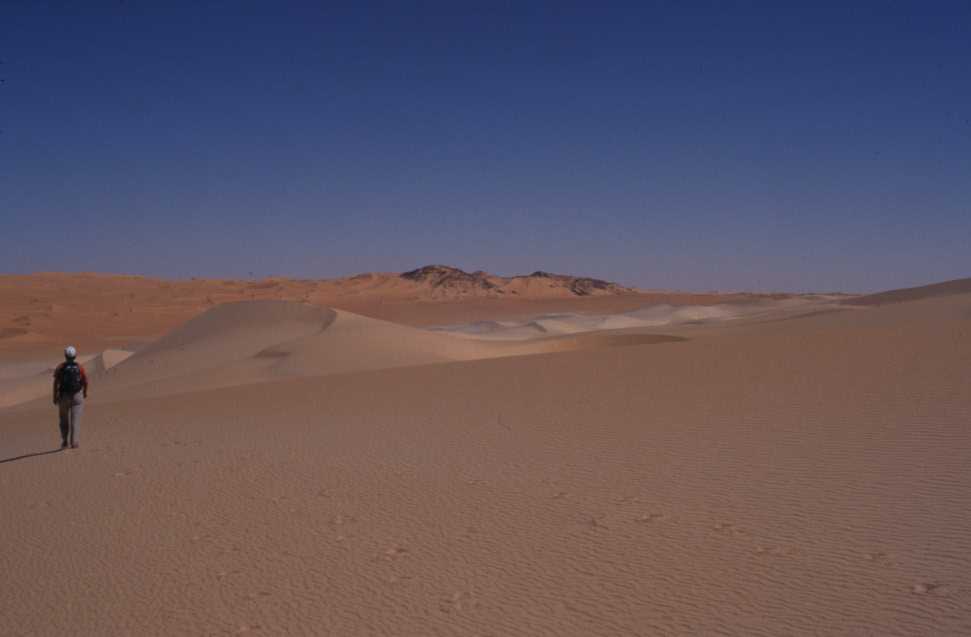 Dunes blanches dans l’erg d’Izane, le 24 février 2004