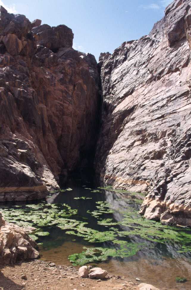 Petite guelta dans l’Aïr, le 19 février 2004