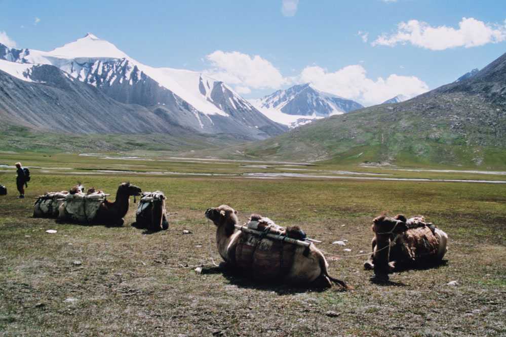 Le camp de Karadjilka (4400 m), le 14 août 2005