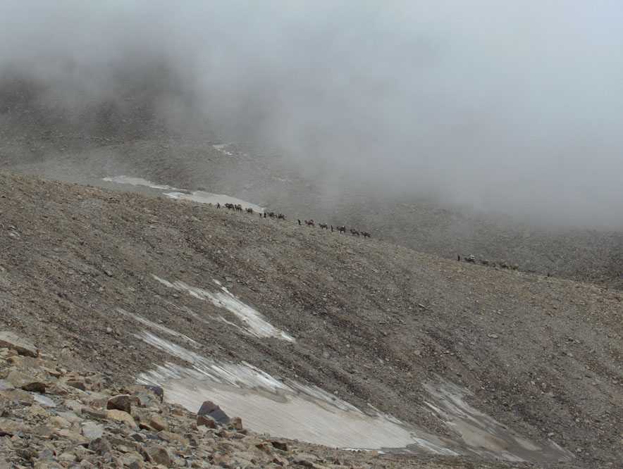 Les chameaux à l’assaut du col de Yango, le 16 août 2005