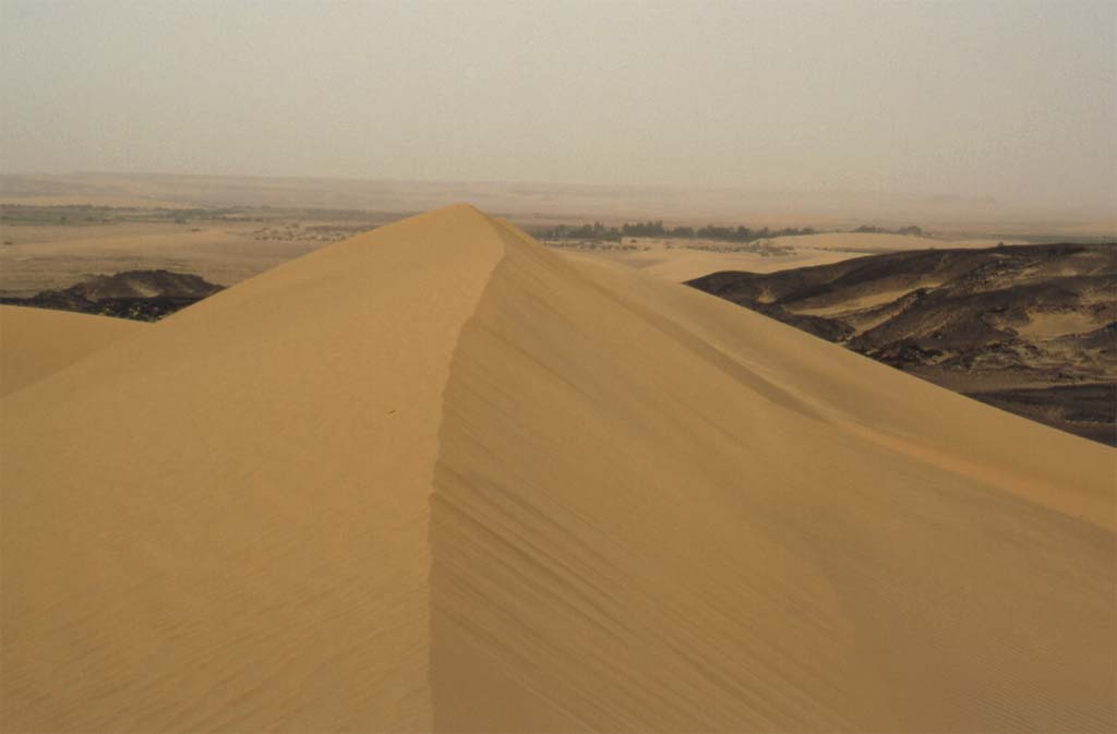 Au sommet de la grande dune de Dakhla, le 19 avril 2005