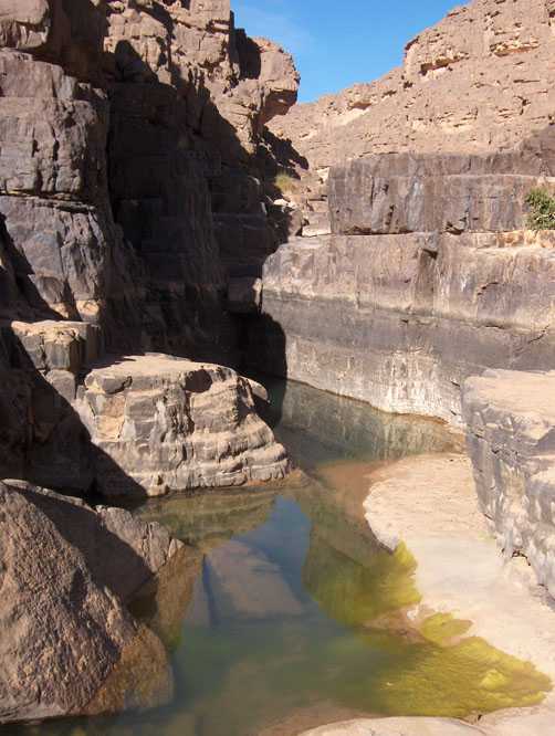 Petite guelta à l’entrée du cañon de Talahouat, le 10 mars 2006