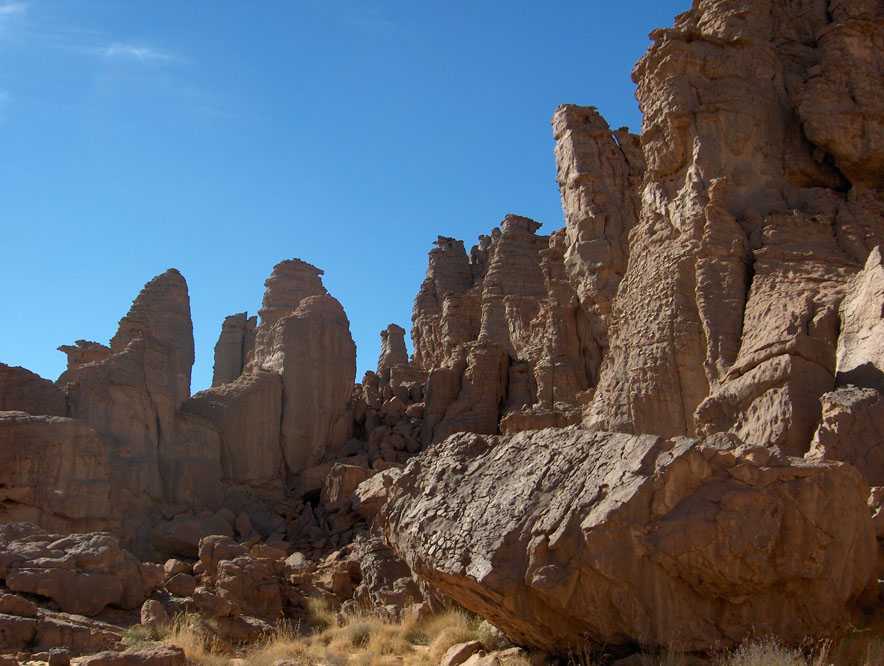 Forêt de grès près de l’oued Amazak, le 11 mars 2006