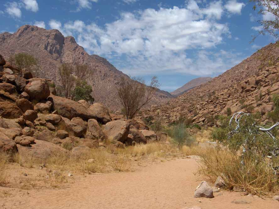 Randonnée dans une vallée du Brandberg, le 29 décembre 2006