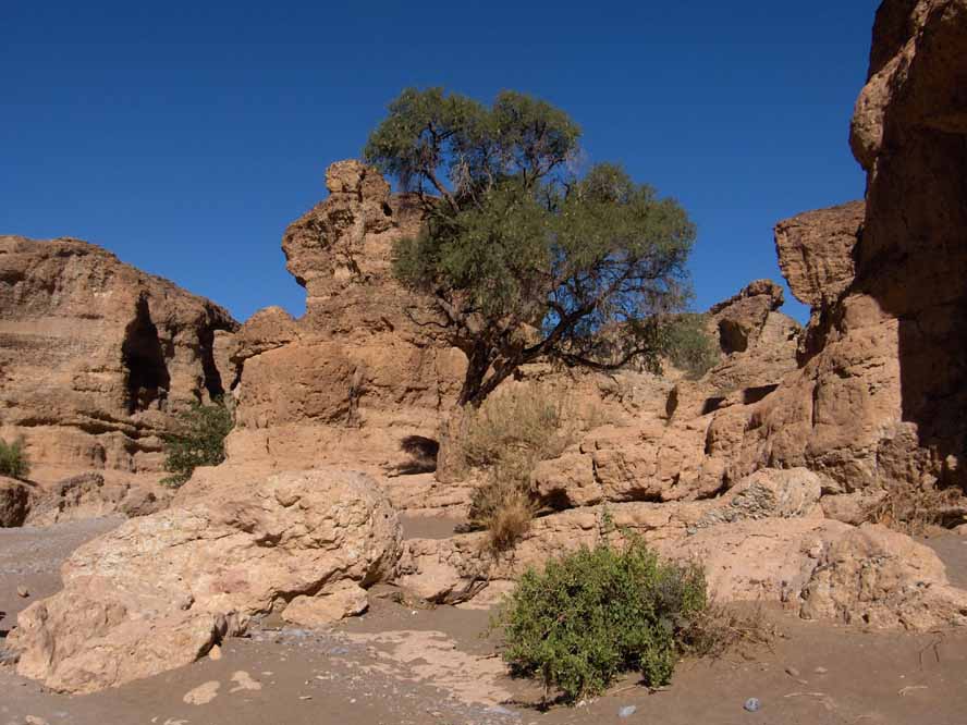 La sortie du cañon de Sesriem, le 31 décembre 2006