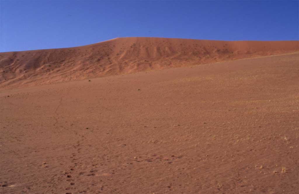 La grande dune vue du bas, le 1ᵉʳ janvier 2007