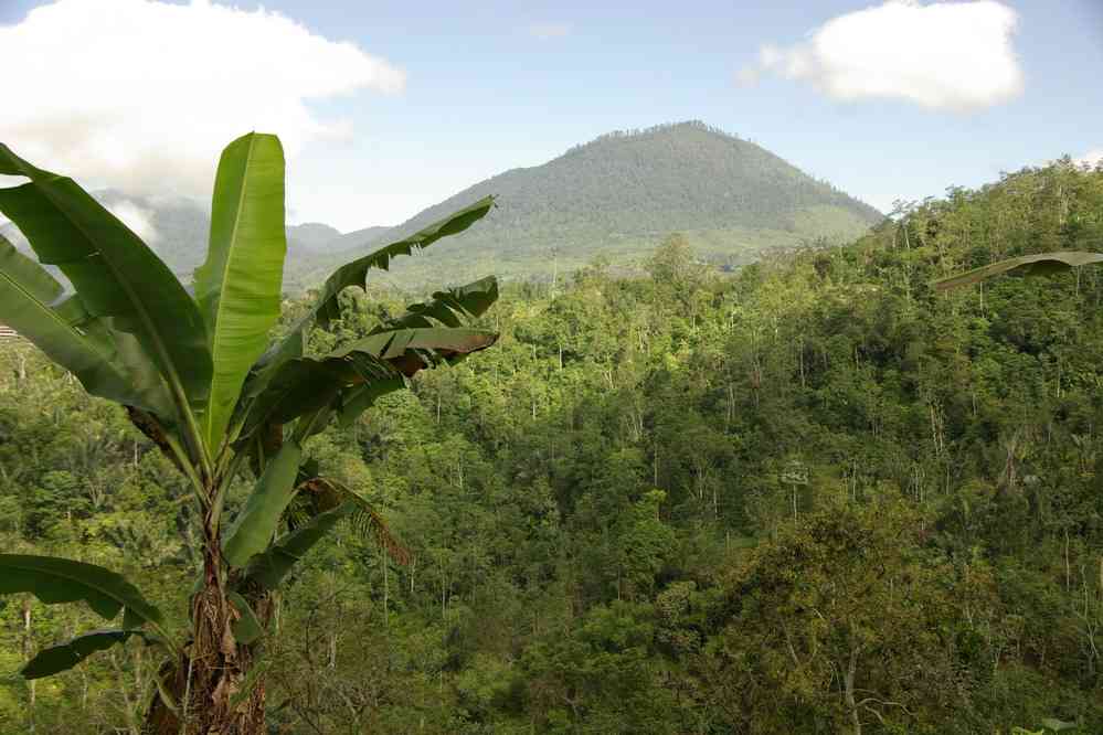 Vue sur des volcans éteints pendant notre randonnée, le 7 juillet 2007