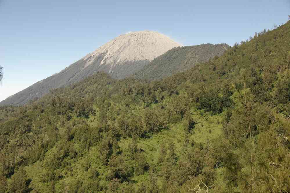 Marche d’approche en direction du Semeru, le 19 juillet 2007