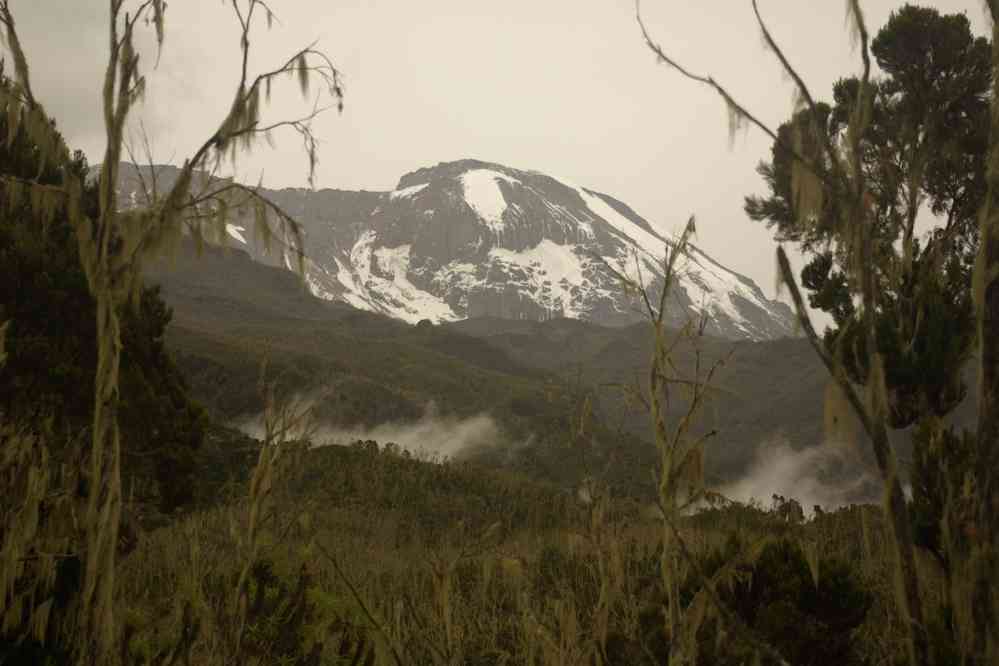 Vue sur le Kibo peu avant Machame-hutte, le 11 février 2008