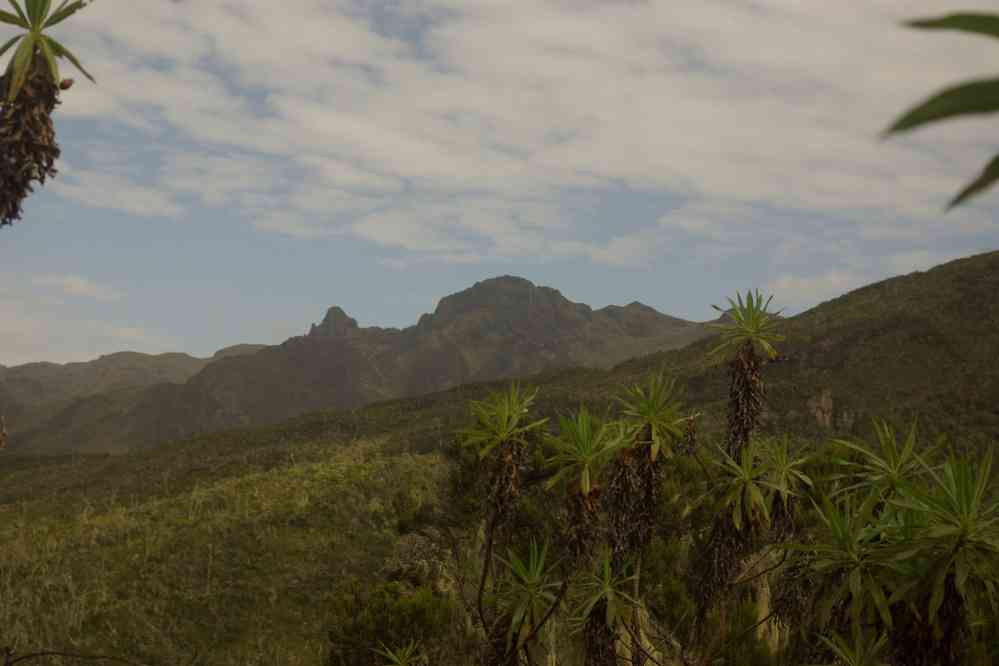 Vue sur le mont Shira, le 12 février 2008