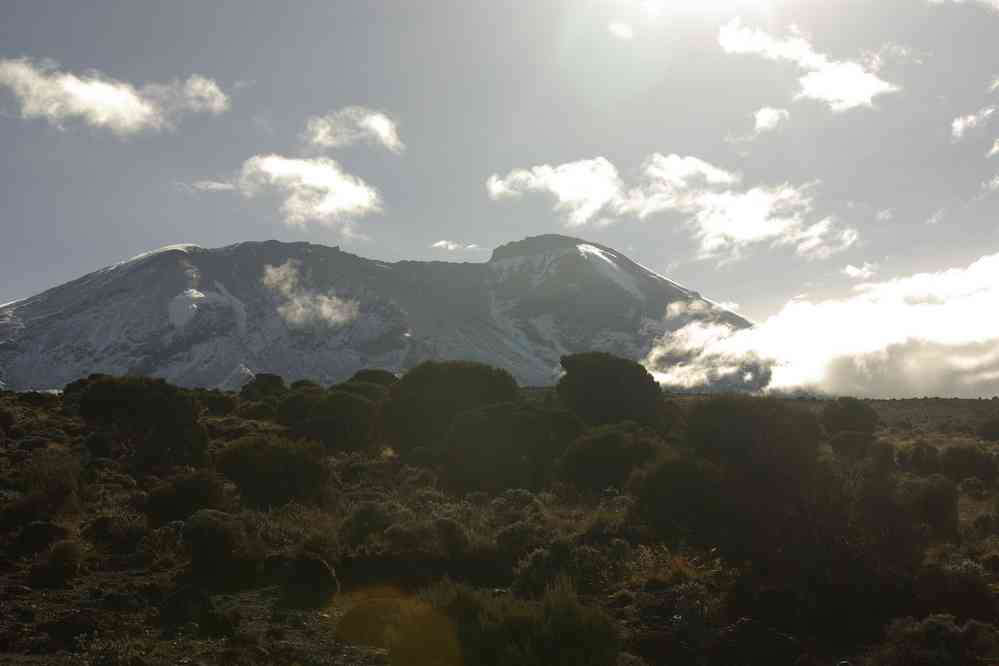 Le Kibo photographié à contre-jour au début de la montée vers le col de la Tour de lave (13 février 2008)