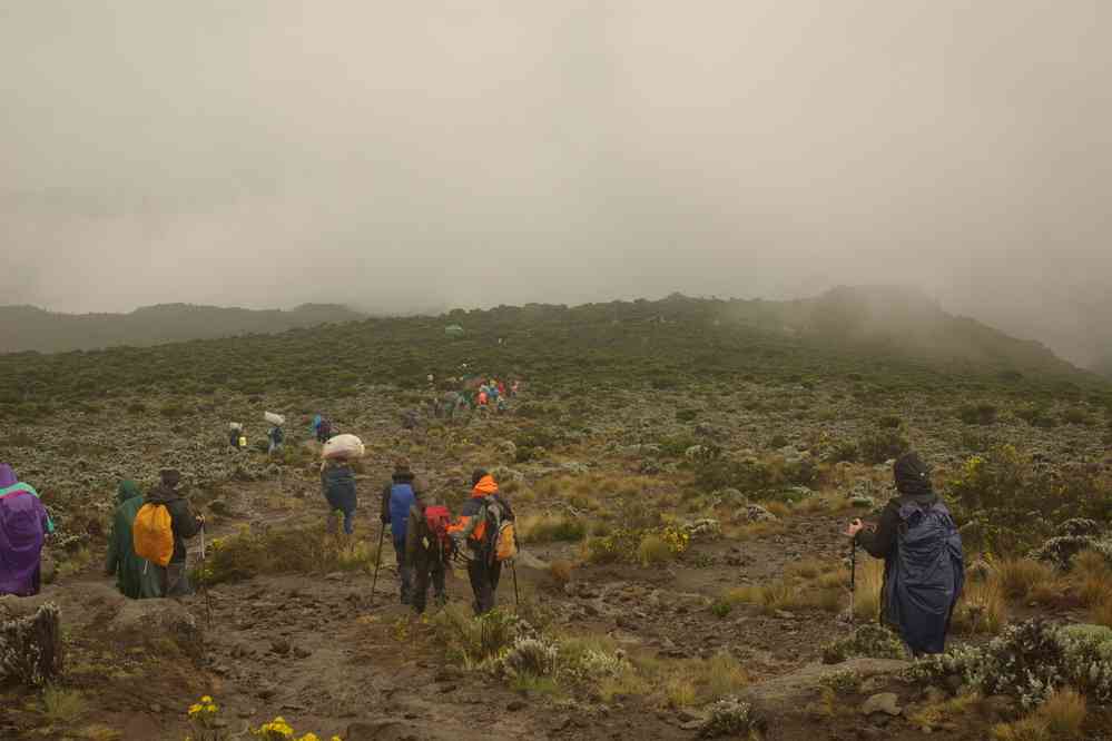 Descente pluvieuse en direction du camp de Mweka, le 15 février 2008