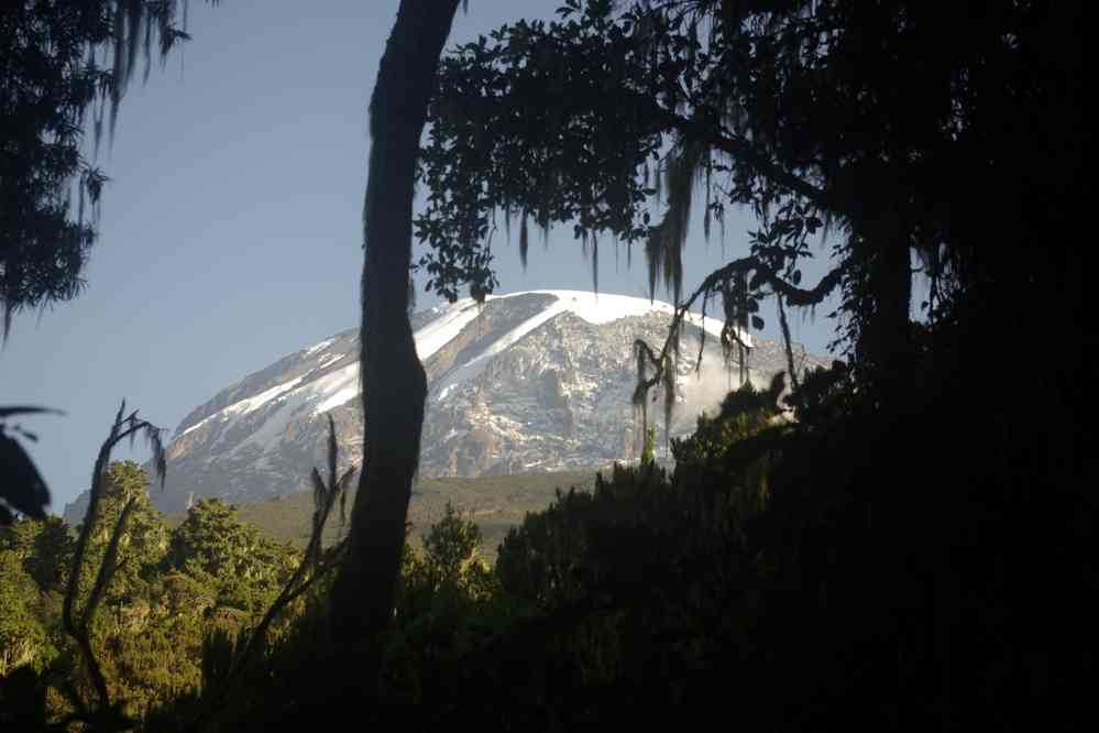 Le Kibo vu depuis le camp de Mweka, le 16 février 2008