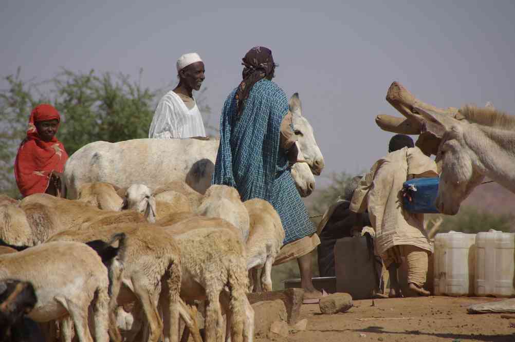 Puits près du site de Naqa, le 29 décembre 2008