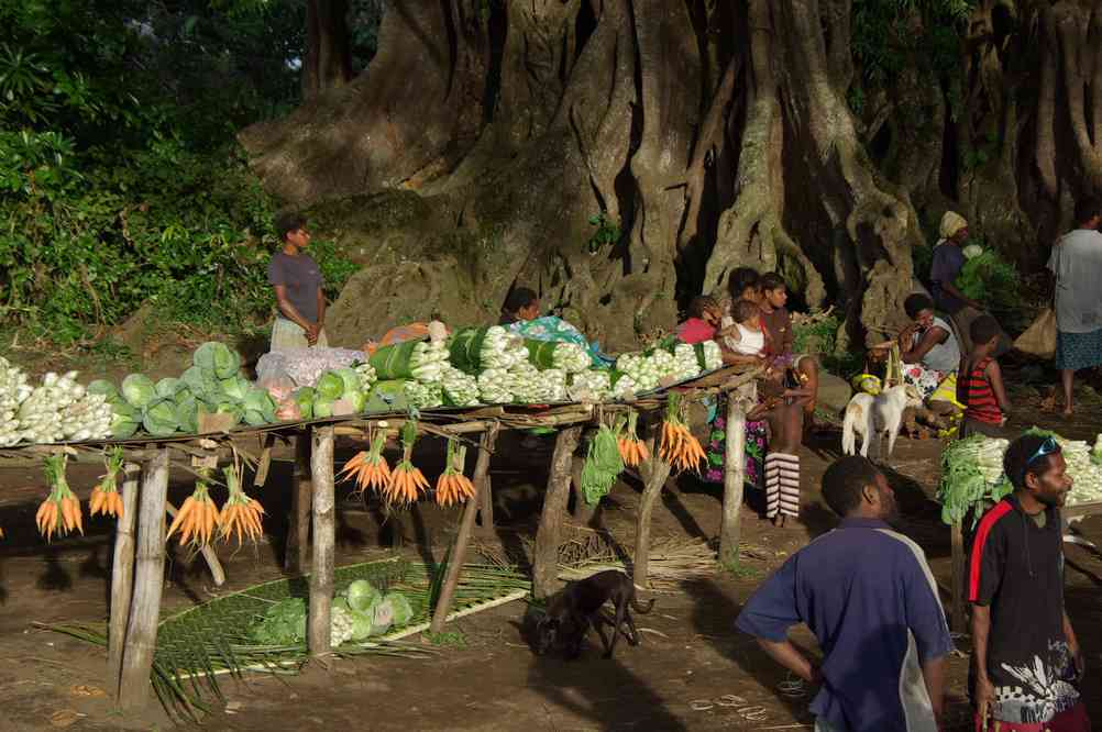 Arrêt à un marché local (Tanna), le 10 août 2011