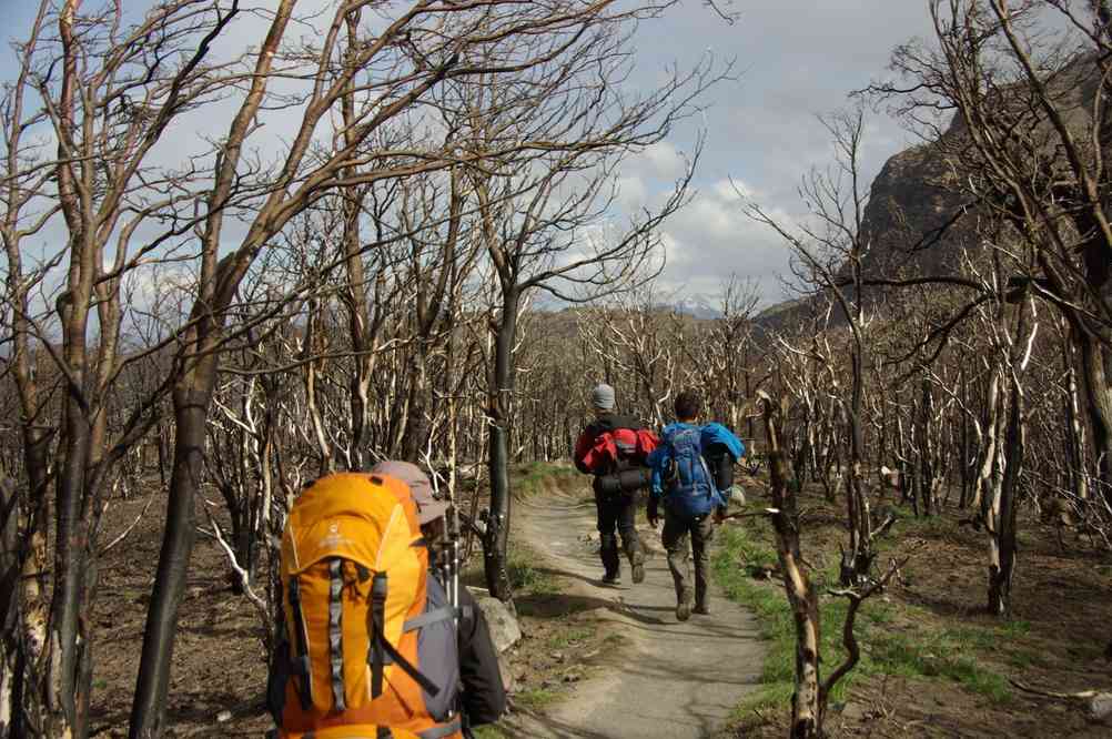 Progression dans la forêt brûlée, le 18 novembre 2012