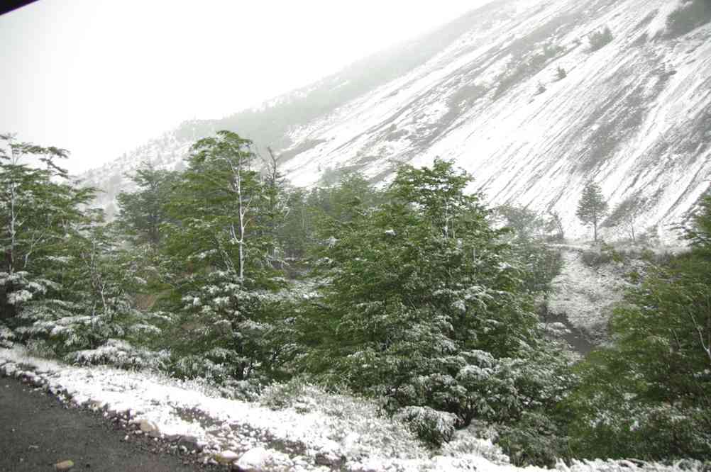 Au réveil c'est tout blanc ! (21 novembre 2012)