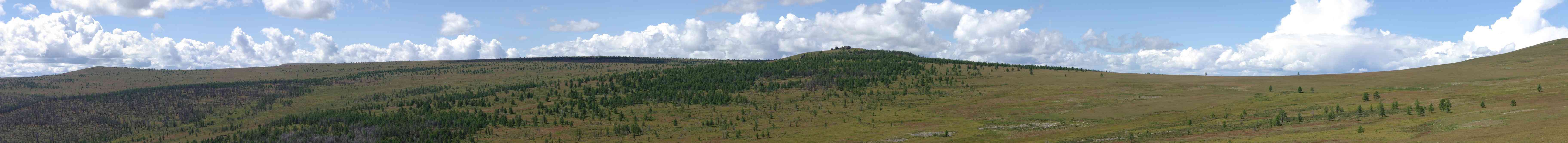 Plateau, forêt et tourbières, le 17 août 2013