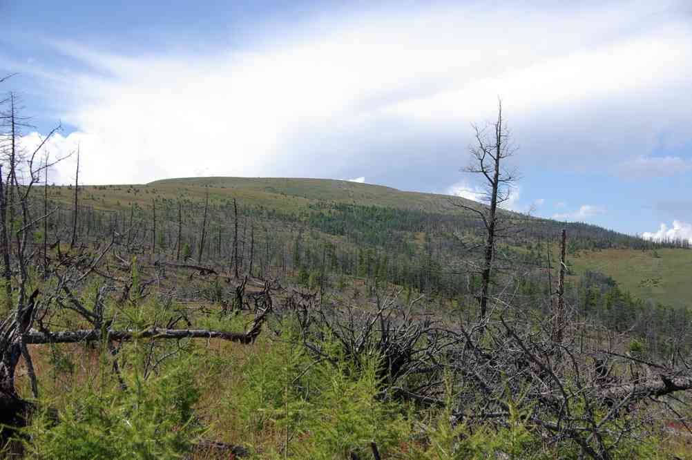 Descente dans la forêt brûlée, le 17 août 2013