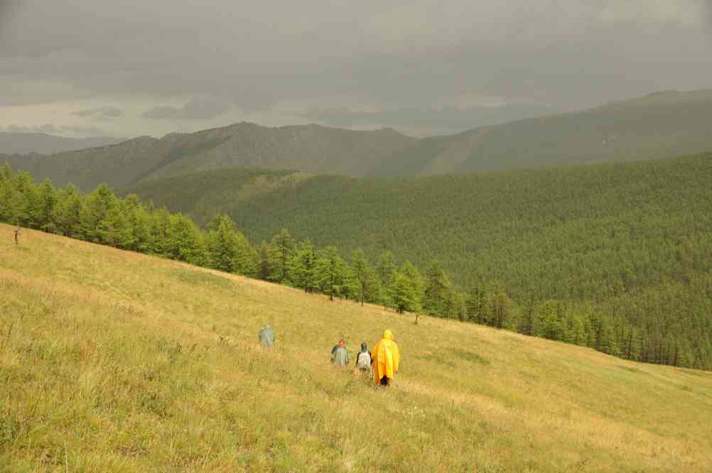 Forêt de mélèzes sous l’orage, le 18 août 2013