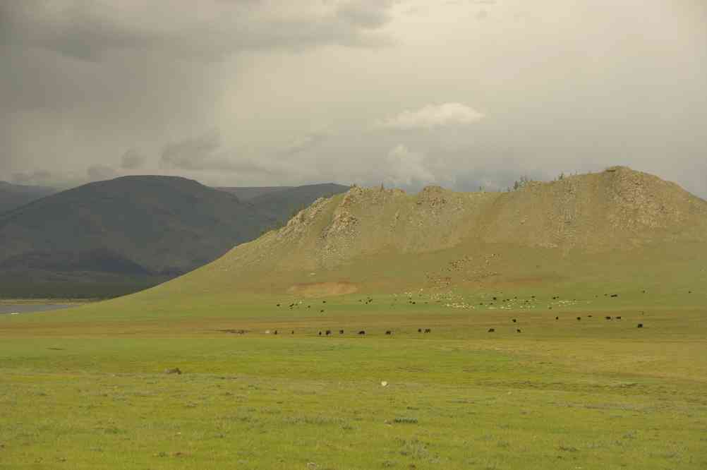 En direction du lac Terkhiin Tsagaan nuur (Тэрхийн Цагаан нуур), le 18 août 2013