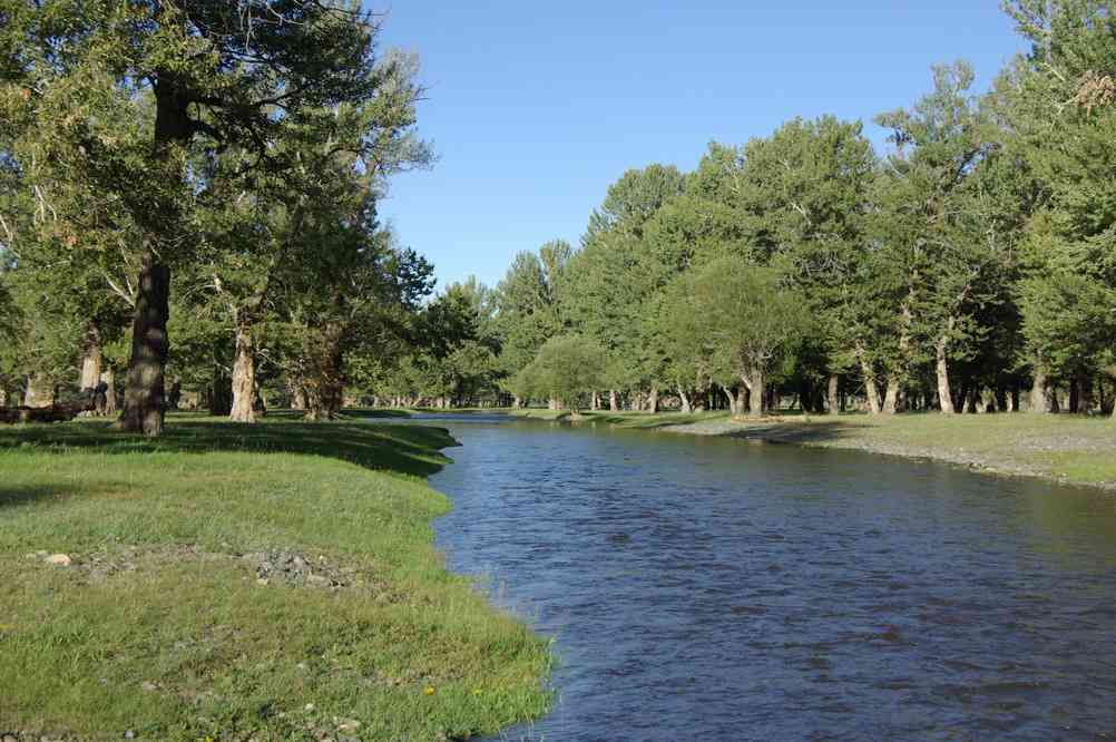 Arrêt dans une « oasis de verdure », le 20 août 2013