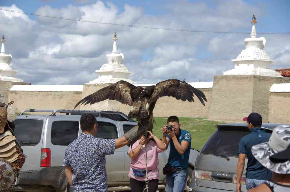 Dresseur de rapaces devant le monastère de Karakorum (Хар Хорум), le 21 août 2013