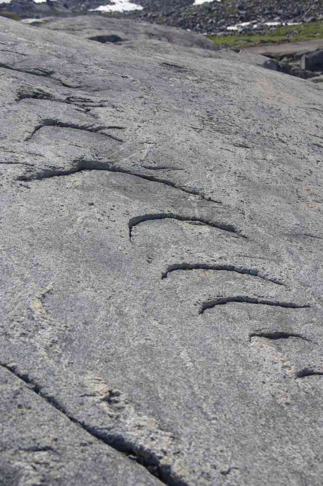 Randonnée dans la vallée Kûgarmîtavqutâ, le 7 juillet 2014 Randonnée dans la vallée Kûgarmîtavqutâ, le 7 juillet 2014