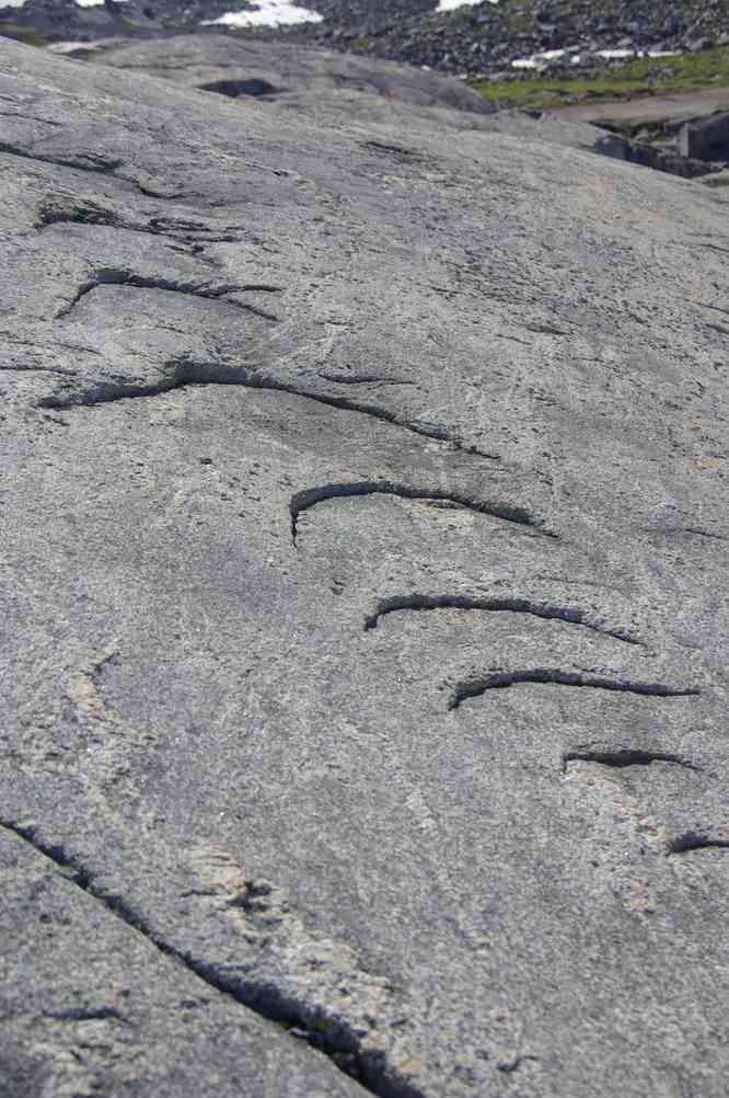 Randonnée dans la vallée Kûgarmîtavqutâ, le 7 juillet 2014