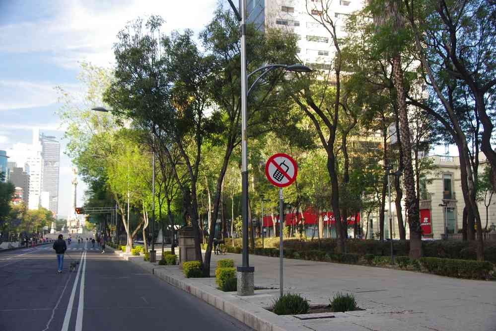 Paseo de la Reforma (promenade de la Réforme) ; les « Champs-Élysées » mexicains, le 17 janvier 2016