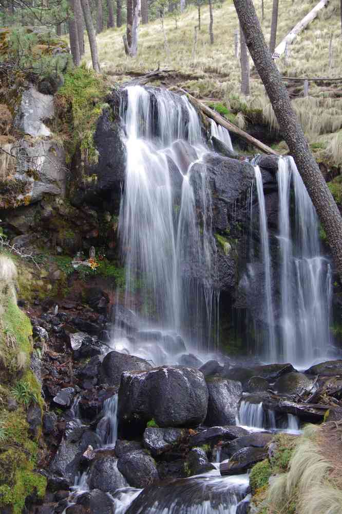 Petite cascade dans la forêt, le 19 janvier 2016