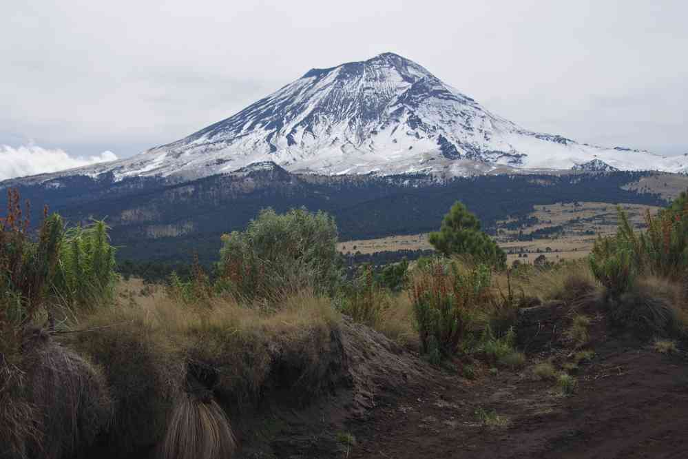 Vue sur le Popocatépetl et sur le col de Cortés, le 19 janvier 2016