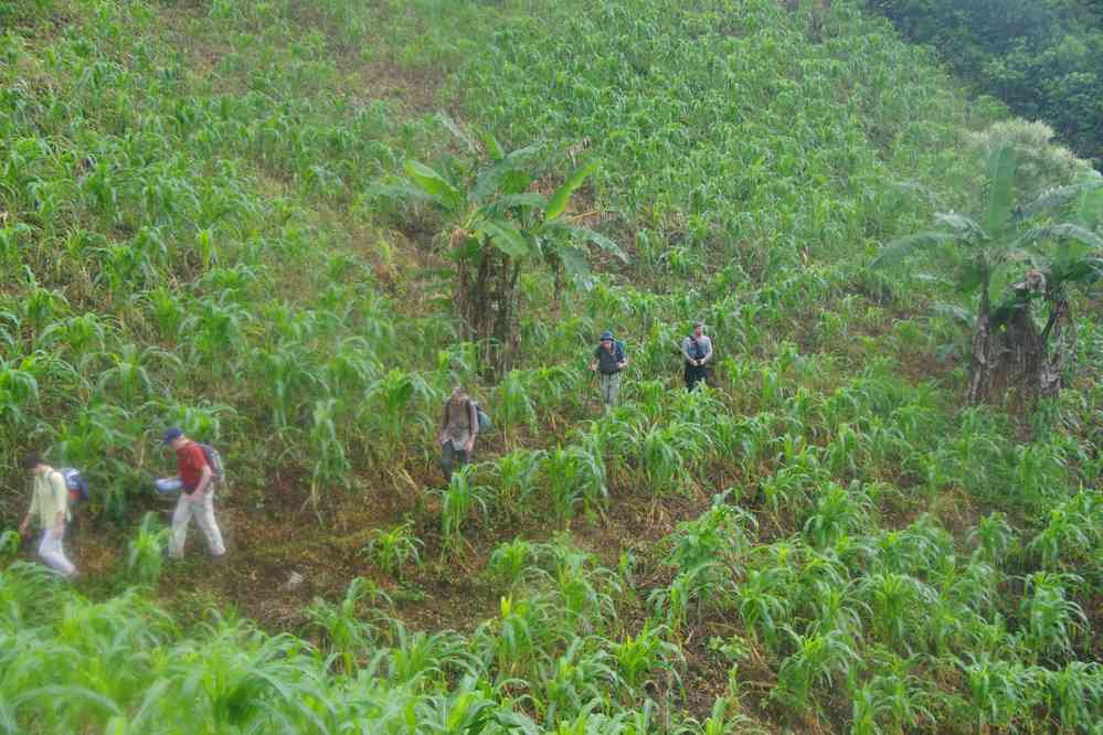 Randonnée dans la jungle près de Palenque. Accalmie de courte durée nous autorisant à ranger les capes, le 22 janvier 2016