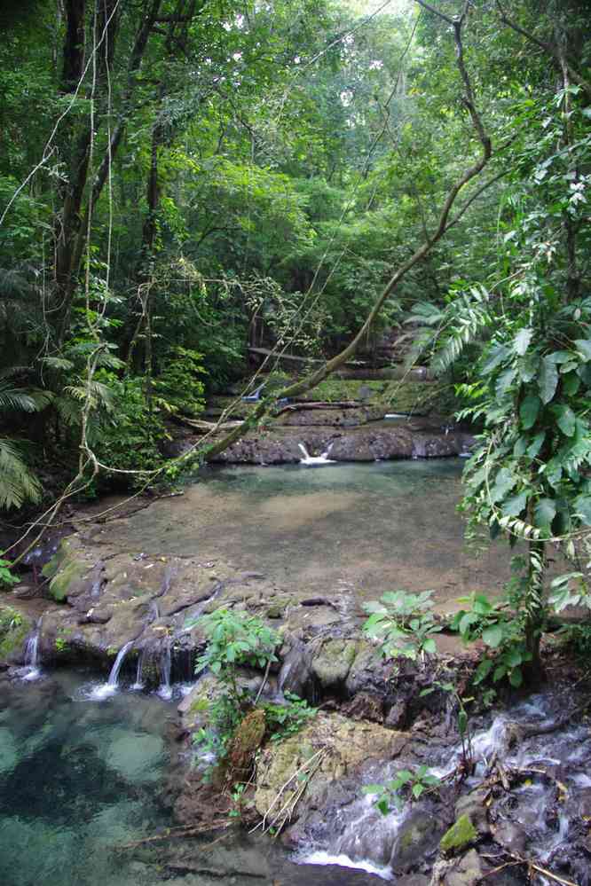 Accès au site de Palenque par la petite porte, le 23 janvier 2016