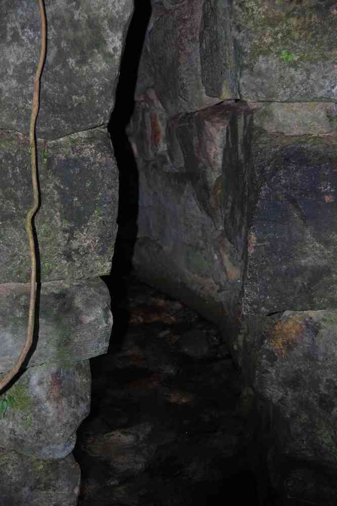 Randonnée dans la jungle en lisière du site de Palenque. Reste de canalisation maya, le 23 janvier 2016