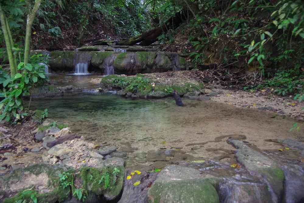 Randonnée dans la jungle en lisière du site de Palenque, le 23 janvier 2016