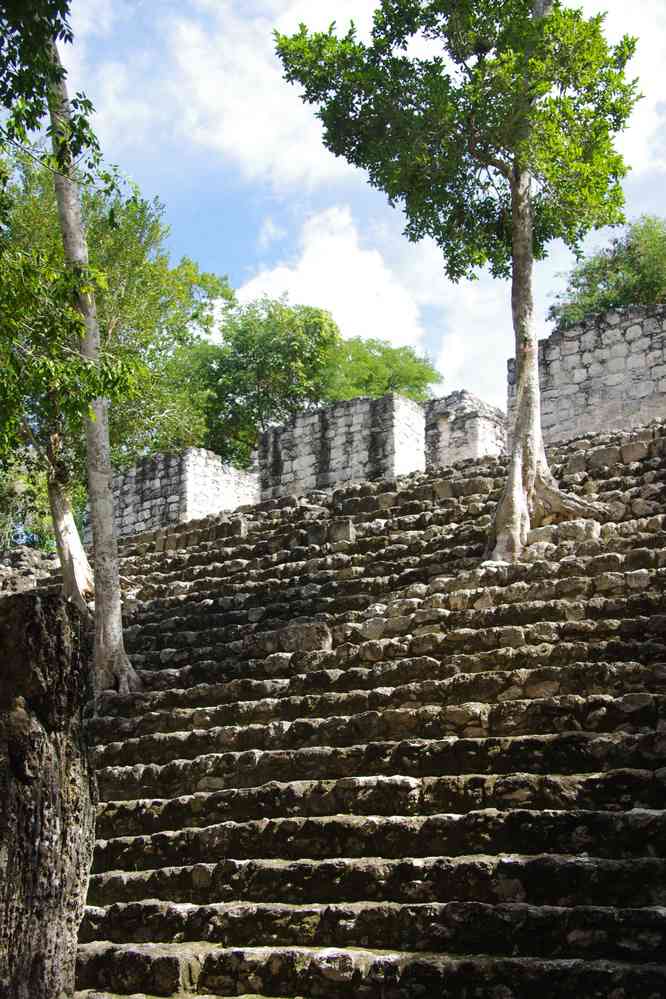 Calakmul, le 24 janvier 2016