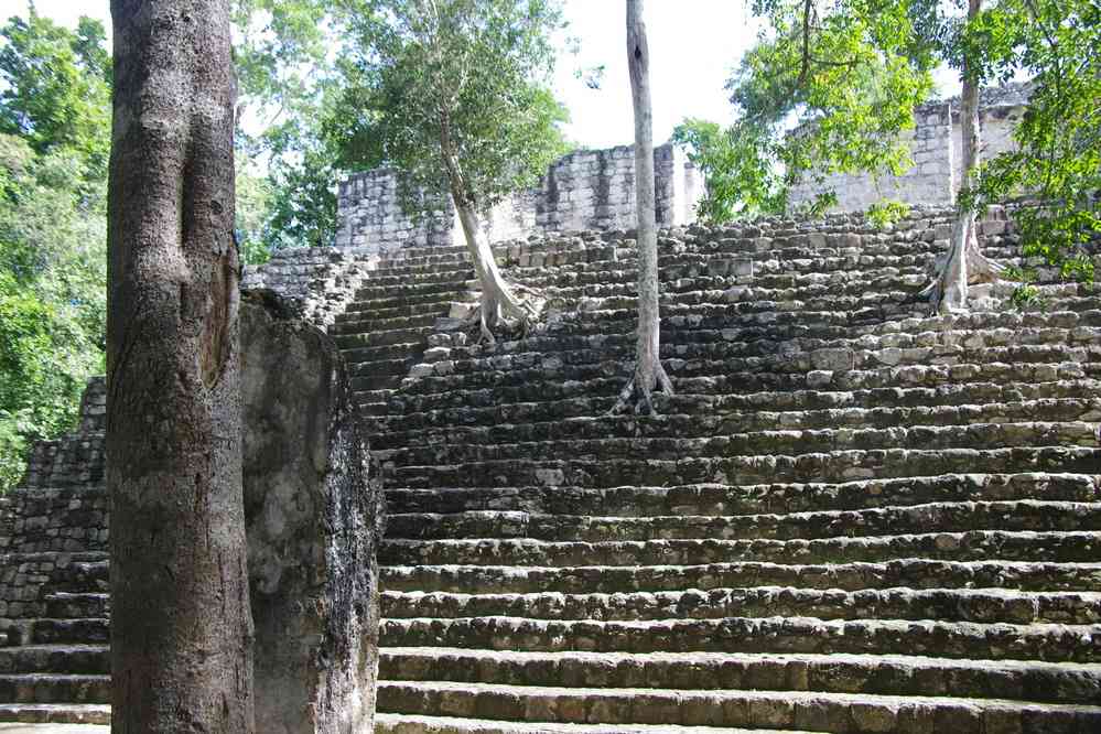 Calakmul, le 24 janvier 2016