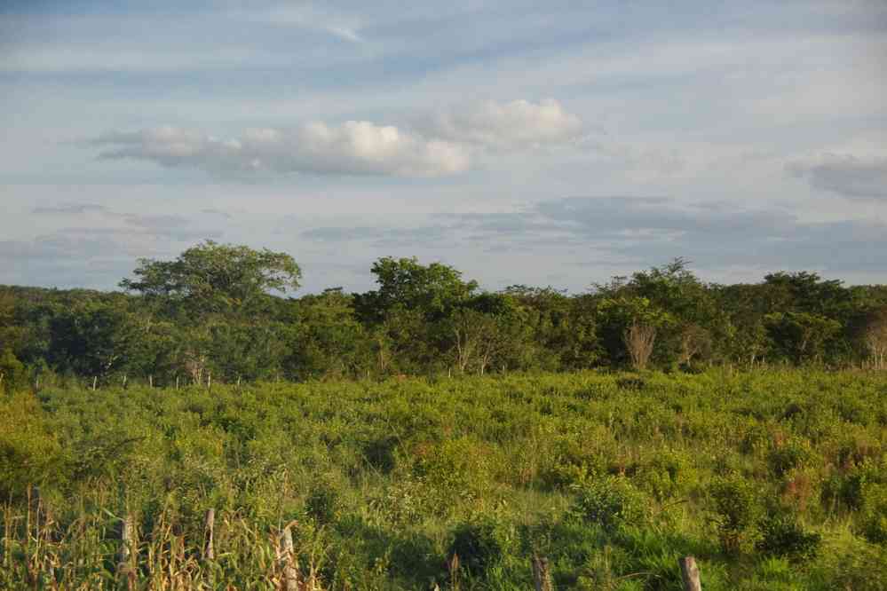 Depuis la route vers Bacalar, le 24 janvier 2016